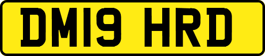 DM19HRD