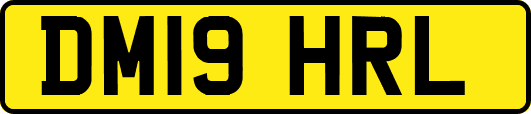 DM19HRL