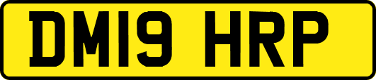 DM19HRP