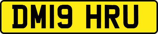 DM19HRU