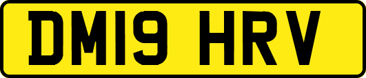 DM19HRV