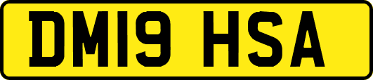 DM19HSA