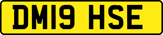 DM19HSE