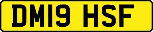 DM19HSF