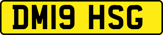 DM19HSG