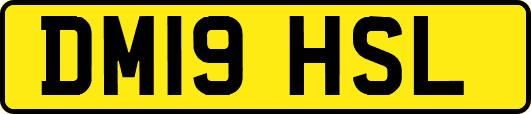 DM19HSL