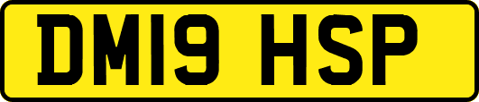 DM19HSP