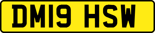 DM19HSW