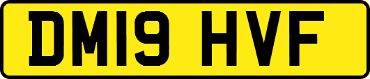 DM19HVF