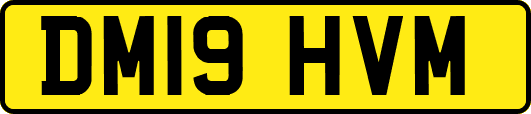 DM19HVM