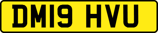 DM19HVU