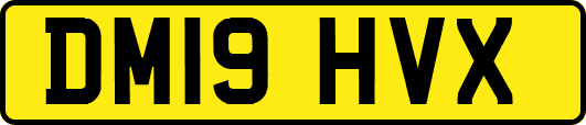 DM19HVX