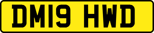 DM19HWD