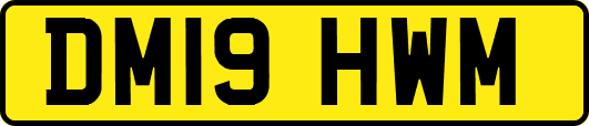 DM19HWM