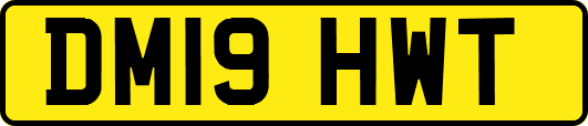 DM19HWT