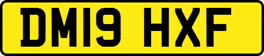 DM19HXF