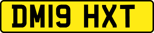 DM19HXT