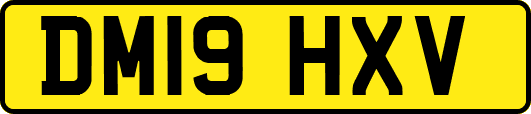 DM19HXV