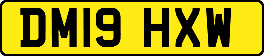 DM19HXW