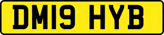 DM19HYB