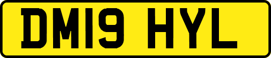 DM19HYL