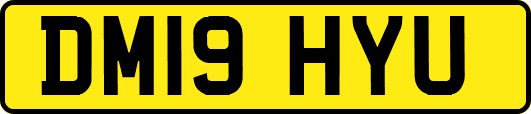 DM19HYU