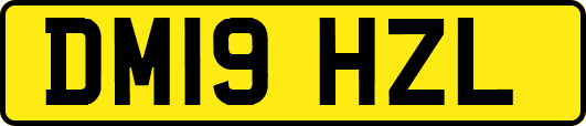 DM19HZL