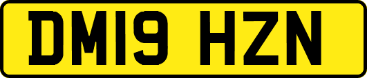 DM19HZN