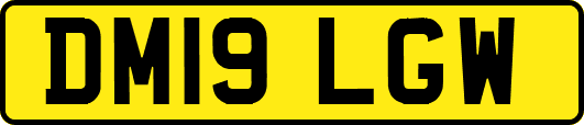 DM19LGW