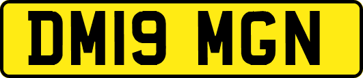 DM19MGN