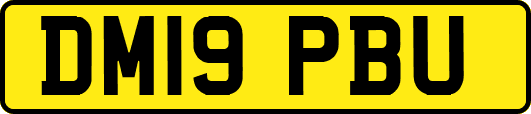 DM19PBU