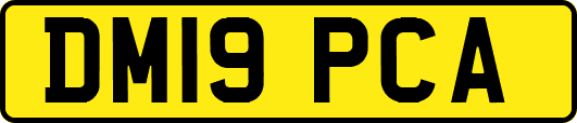 DM19PCA