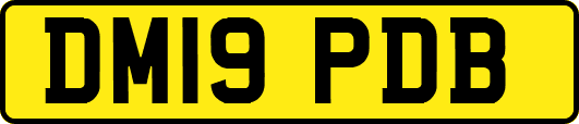 DM19PDB