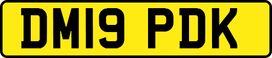 DM19PDK