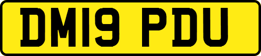 DM19PDU