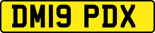 DM19PDX