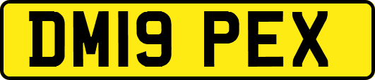 DM19PEX