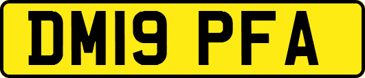 DM19PFA