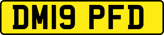 DM19PFD