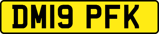 DM19PFK