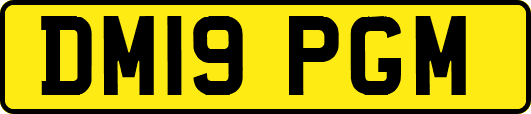 DM19PGM