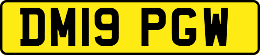 DM19PGW