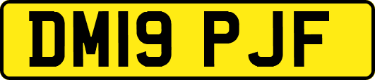 DM19PJF