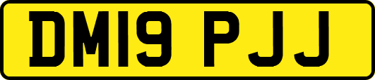 DM19PJJ