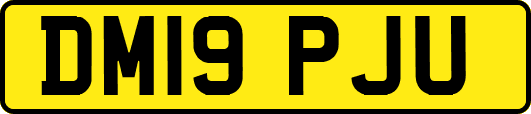 DM19PJU