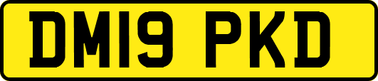 DM19PKD