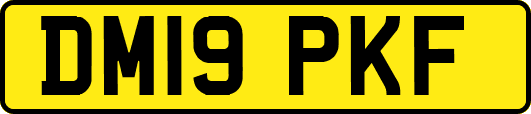 DM19PKF