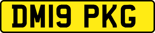 DM19PKG