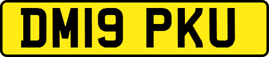 DM19PKU