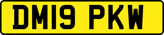 DM19PKW